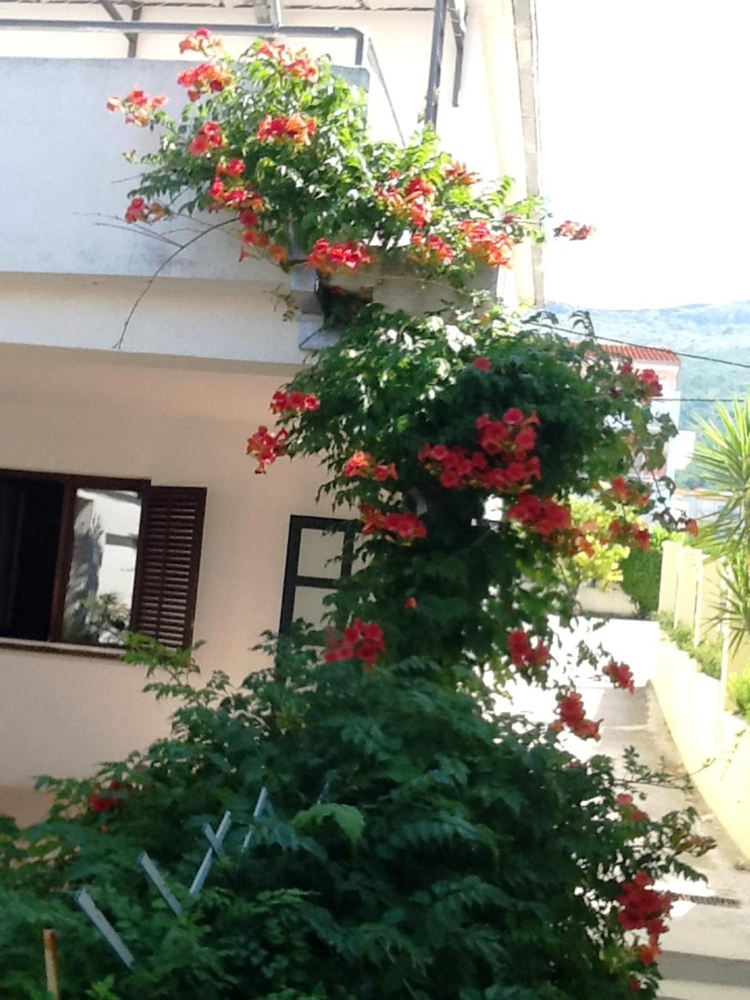 Villa Tamaris On The Beach Podstrana Quarto foto